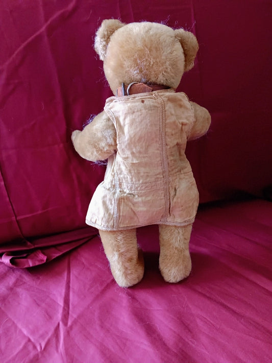 Ours Steiff 1908 (12")