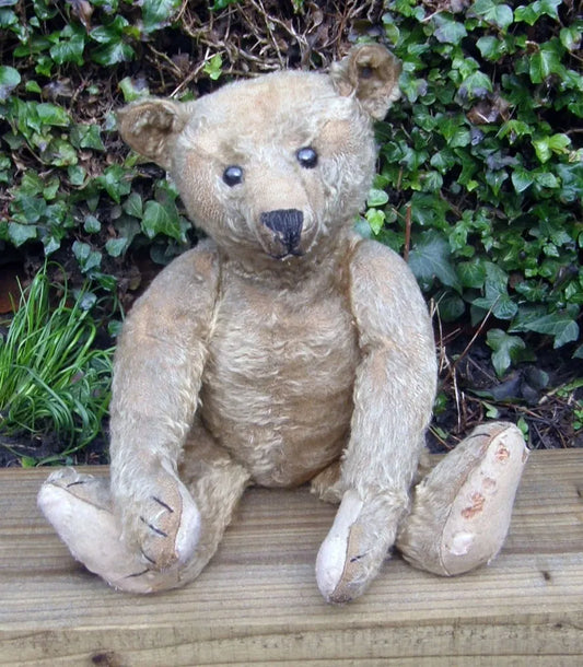 Ours Steiff Antique c.1910 (18")
