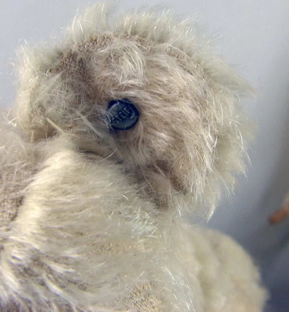 Ours Steiff Blanc "Gavin" c1907 (13")