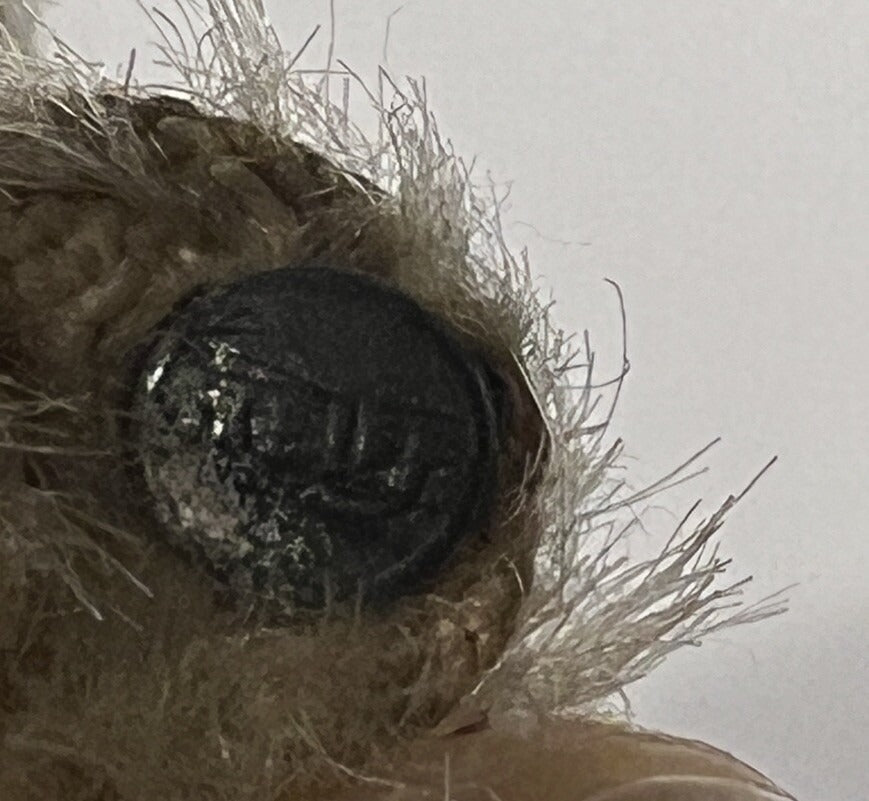 Ours Miniature Steiff Années 1900 (3.5")