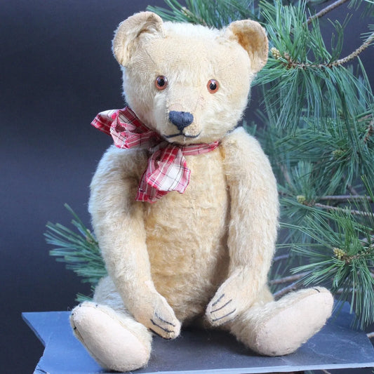 "Oliver" Ours BING Rare Années 1920 (50 cm)