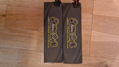 Voiture RC Castle XLX 800Kv