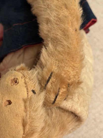 Ours Mohair Antique Début 1900s (13")
