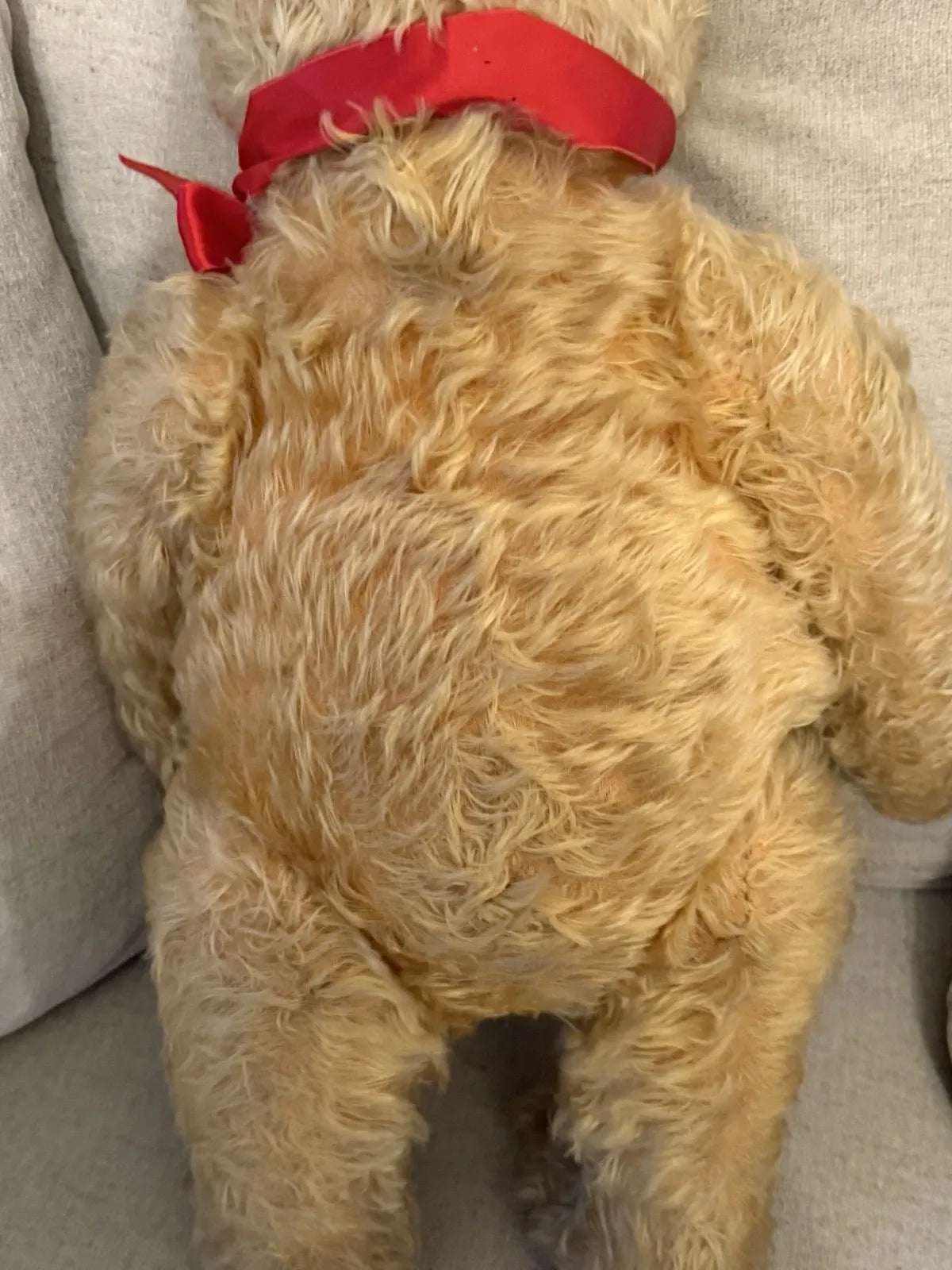 Grand Ours Mohair Doré 25"