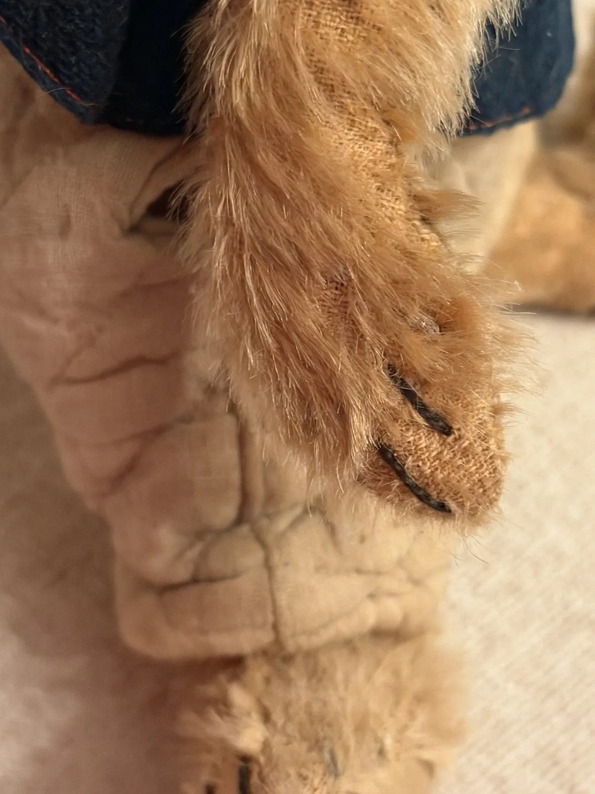 Ours Mohair Antique Début 1900s (13")