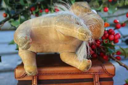 Chien Pip Steiff en Velours c.1927 (6")