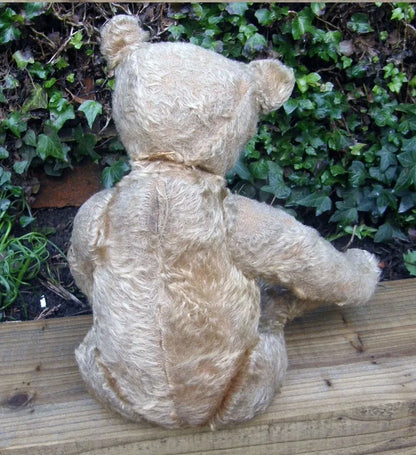 Ours Steiff Antique c.1910 (18")