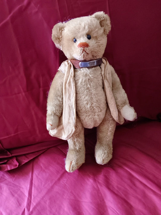 Ours Steiff 1908 (12")