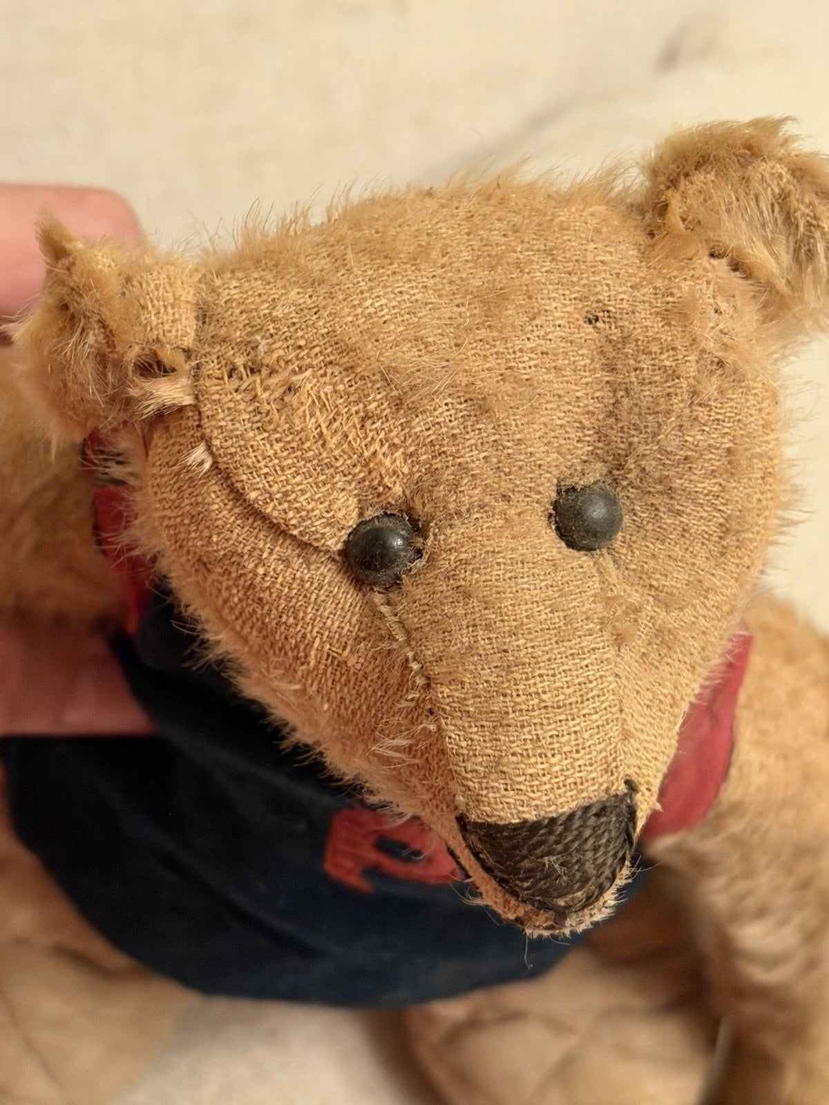 Ours Mohair Antique Début 1900s (13")