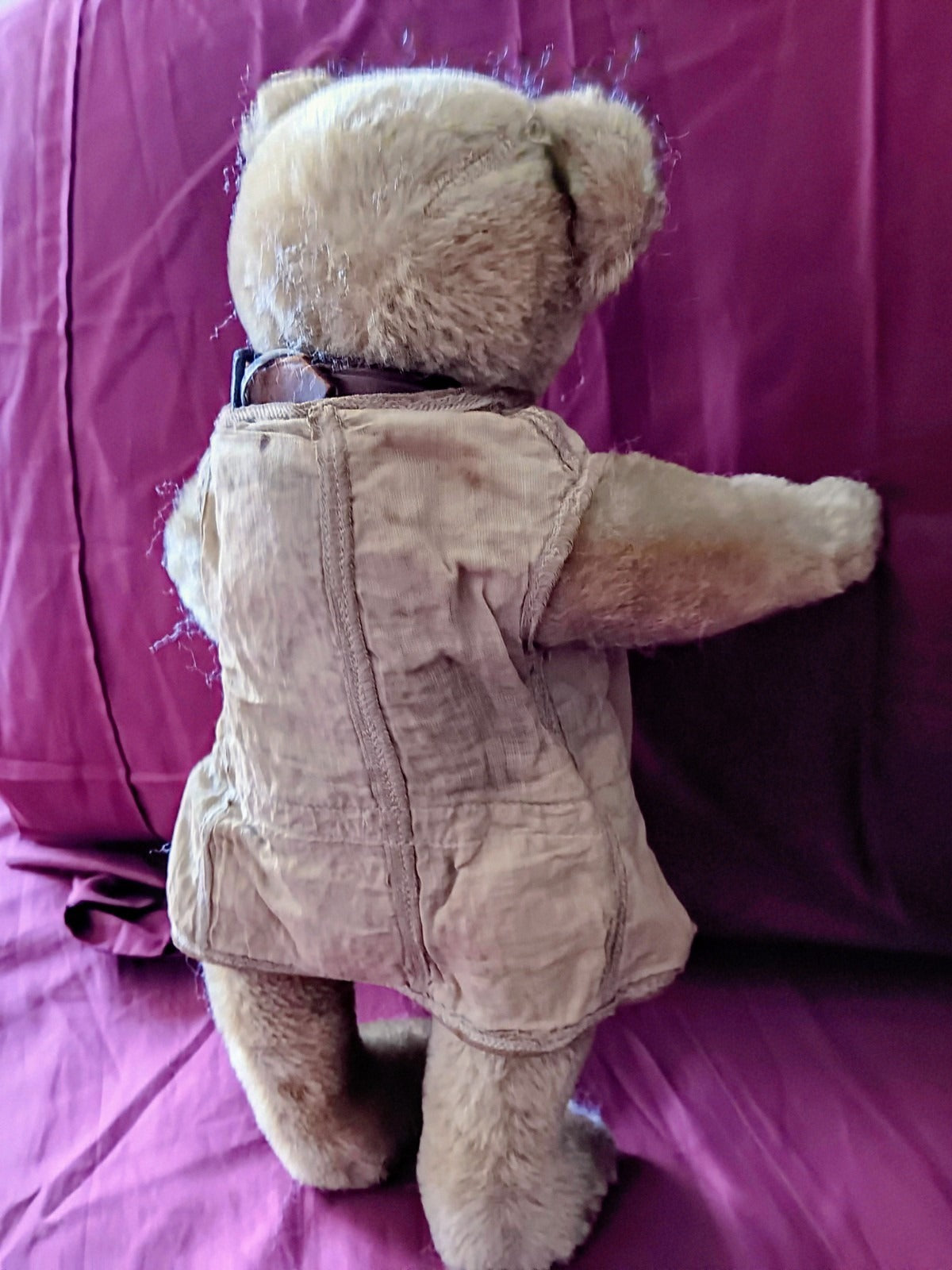Ours Steiff 1908 (12")