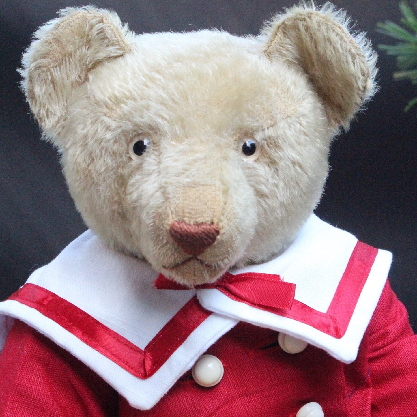 "Favorite Teddy" Ours EDUCA CRAMER Années 1920