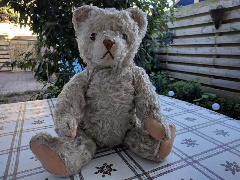 Steiff Teddy Bear 28PAB White Mohair 1905-1933