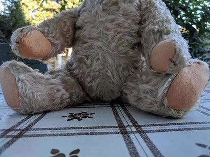 Steiff Teddy Bear 28PAB White Mohair 1905-1933