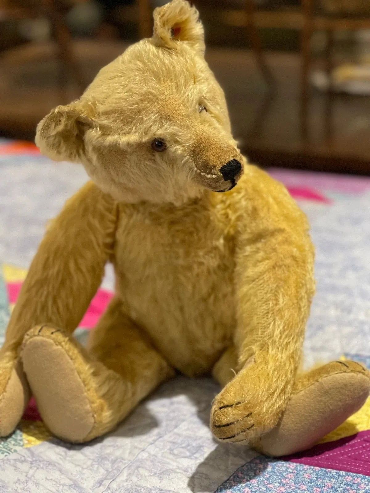 Ours Steiff 1920 (18")