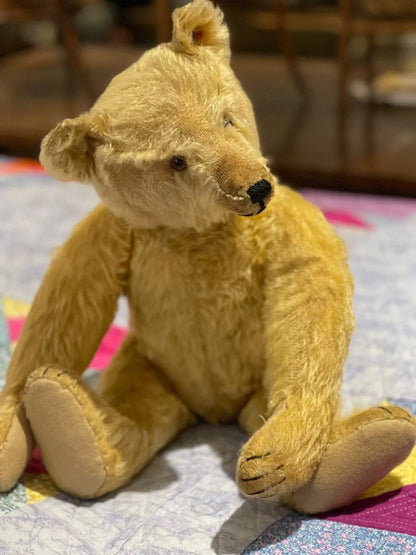 Ours Steiff 1920 (18")