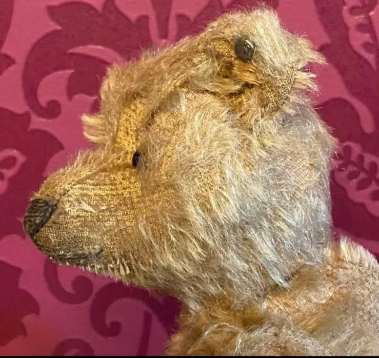 Ancien Ours en Peluche Steiff