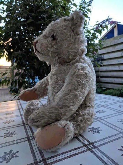 Steiff Teddy Bear 28PAB White Mohair 1905-1933