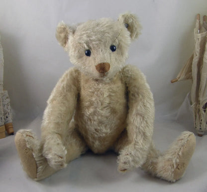 Ours Steiff Blanc "Gavin" c1907 (13")