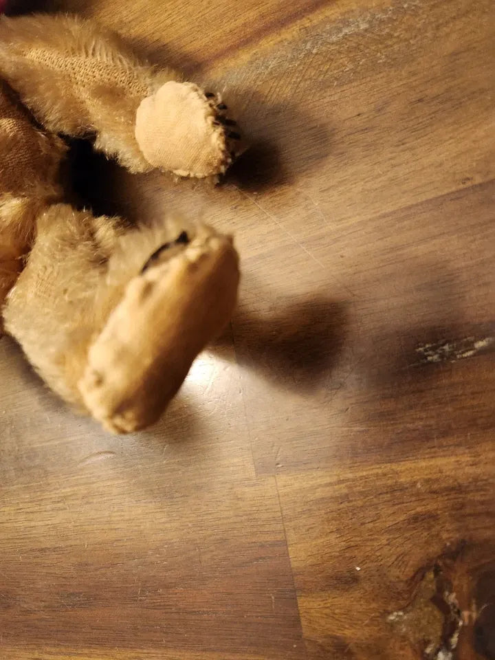 Ours en Peluche Steiff Antique Début 1900s (10")
