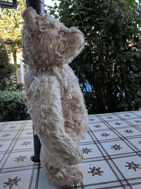 Steiff Teddy Bear 28PAB White Mohair 1905-1933