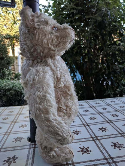 Steiff Teddy Bear 28PAB White Mohair 1905-1933