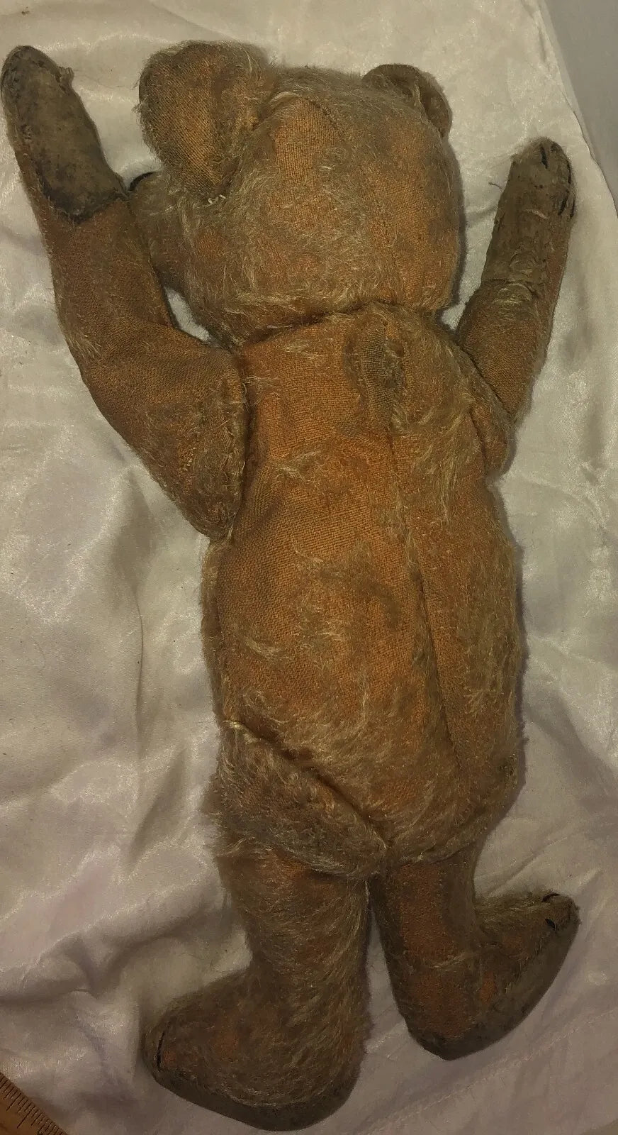 "Arthur" Ours Antique (13")