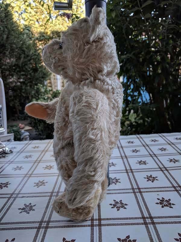 Steiff Teddy Bear 28PAB White Mohair 1905-1933