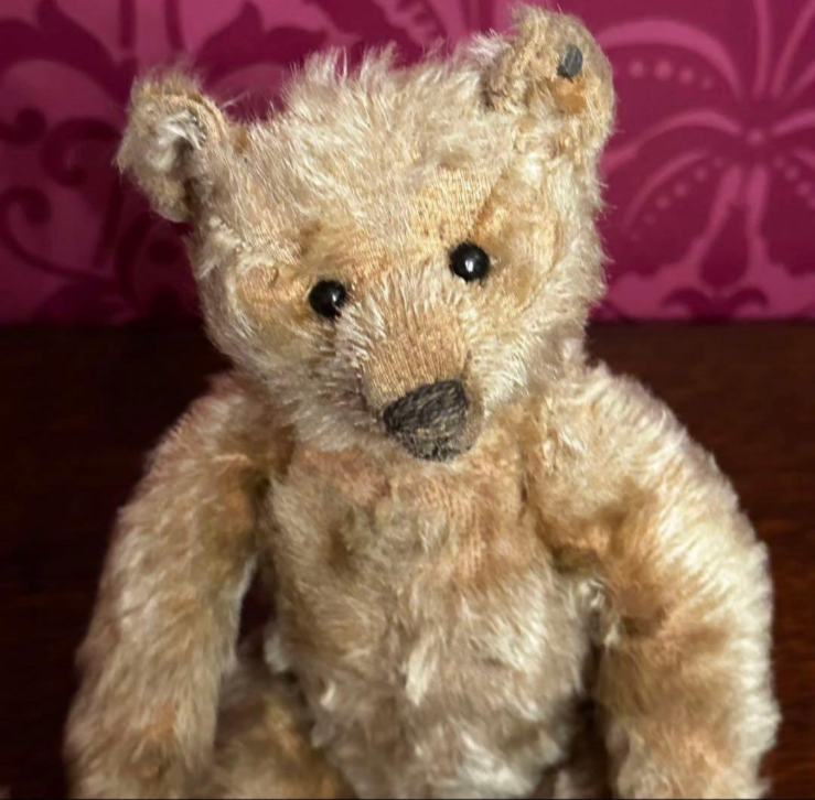 Ancien Ours en Peluche Steiff