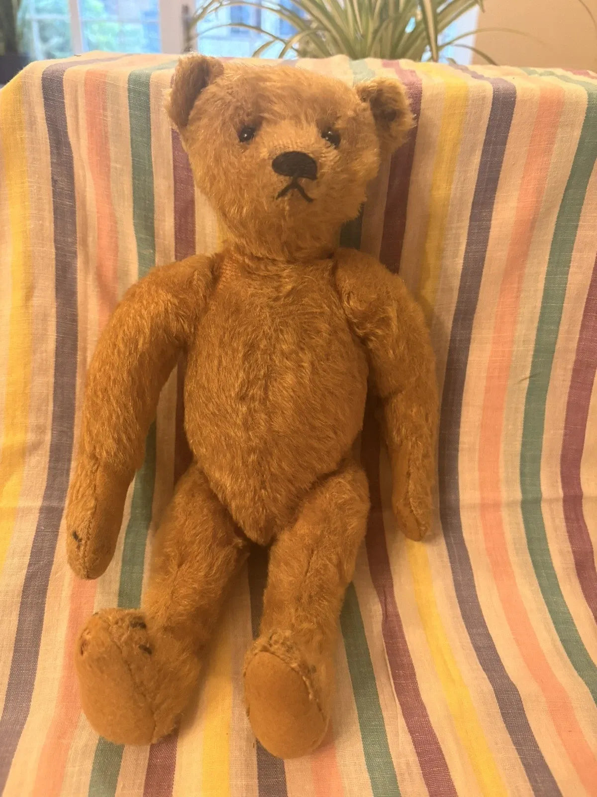 Ours Steiff Mohair Blond 30 cm Années 1950-60