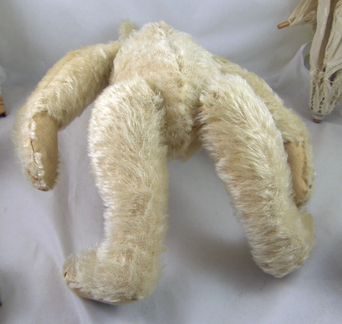 Ours Steiff Blanc "Gavin" c1907 (13")