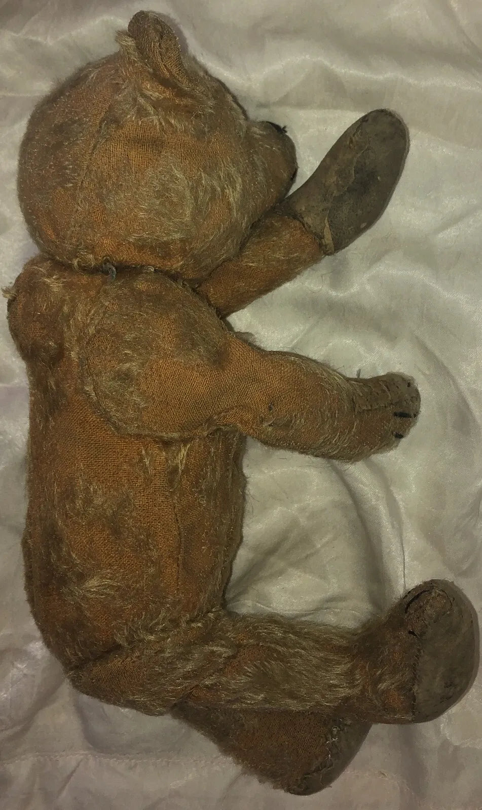"Arthur" Ours Antique (13")