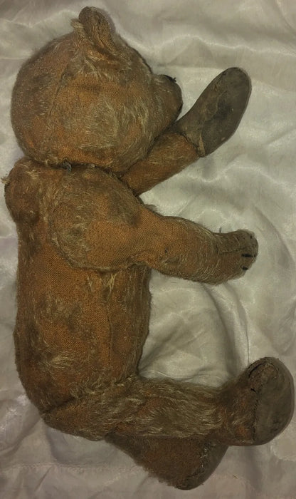 "Arthur" Ours Antique (13")