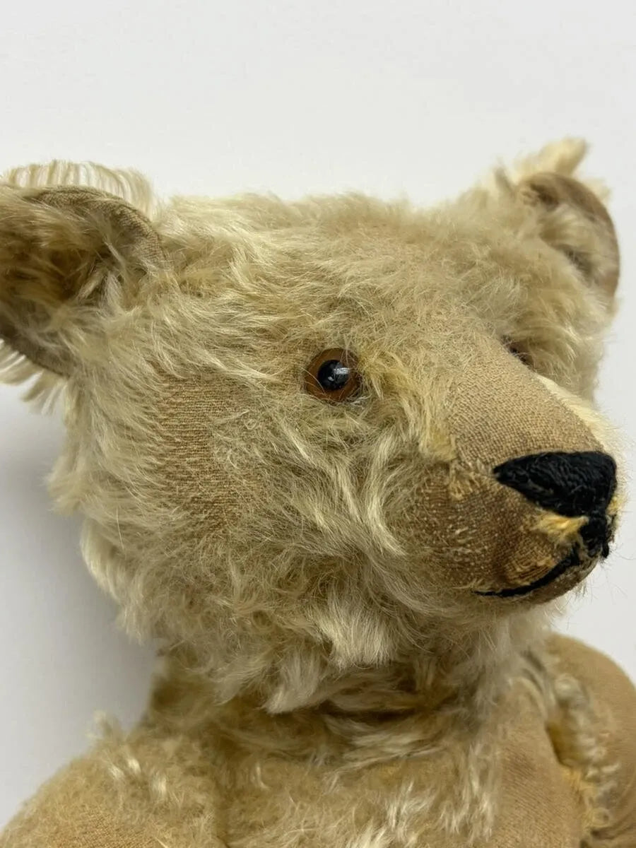 Ours Steiff Antique 20" avec Bouton "F"