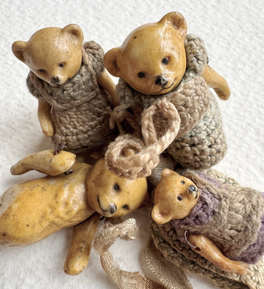 Famille Ours HERTWIG (1900-1910)