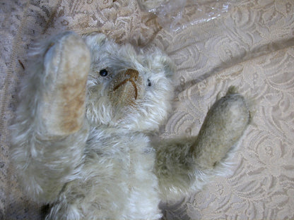Ours Steiff Blanc Antique Début 1900s (17")