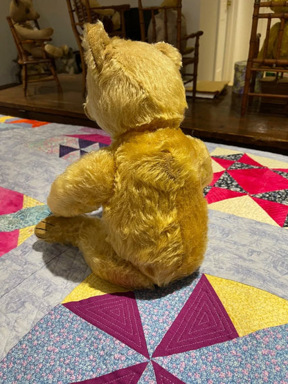 Ours Steiff 1920 (18")