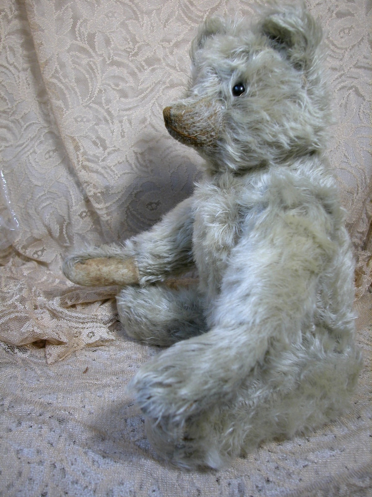 Ours Steiff Blanc Antique Début 1900s (17")