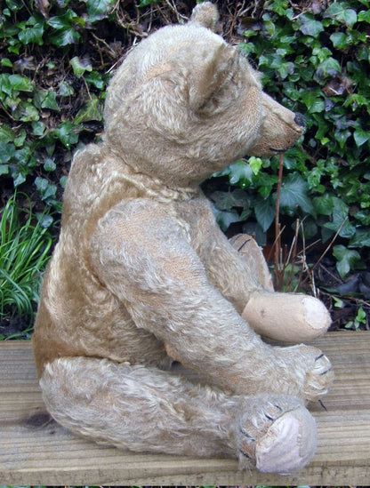 Ours Steiff Antique c.1910 (18")