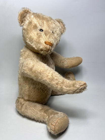 Ours Steiff 1927 Blanc (20")