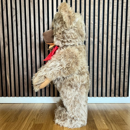 Steiff Ours ZOTTY 1953 (75 cm)