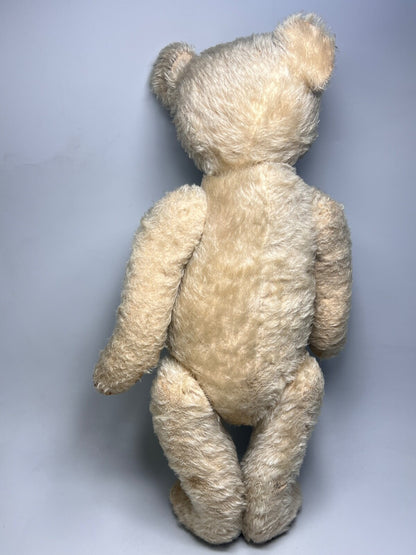Ours Steiff 1927 Blanc (20")