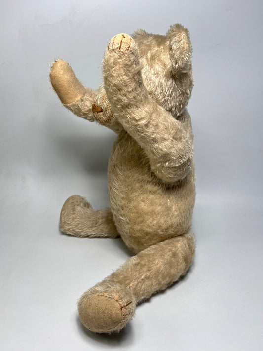 Ours Steiff 1927 Blanc (20")
