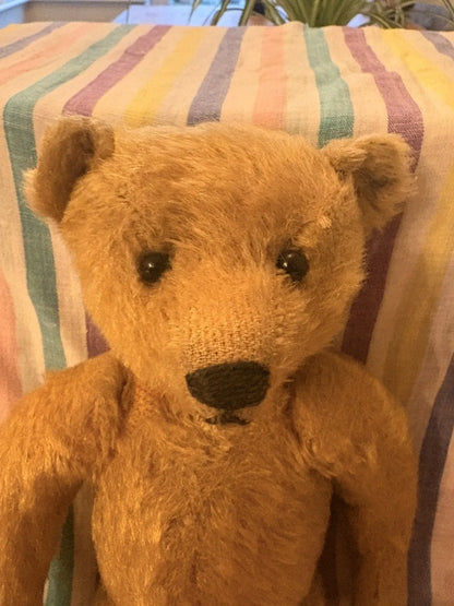 Ours Steiff Mohair Blond 30 cm Années 1950-60