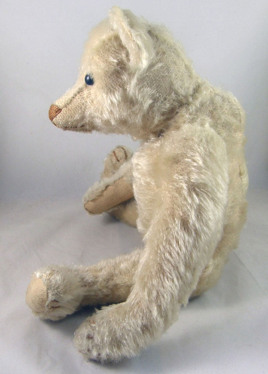 Ours Steiff Blanc "Gavin" c1907 (13")