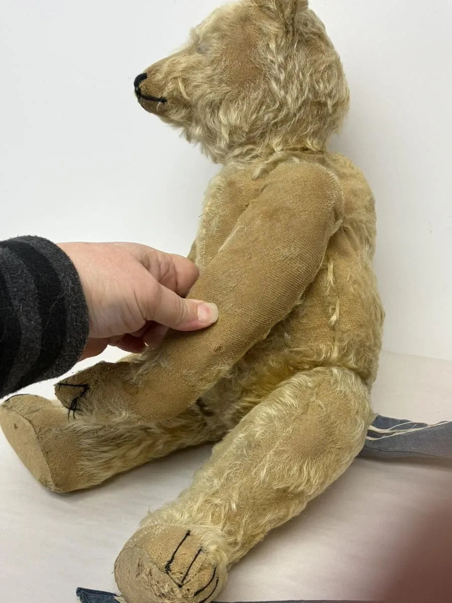 Ours Steiff Antique 20" avec Bouton "F"