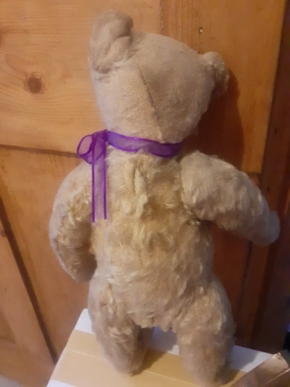 Ours Steiff Antique Début 1900