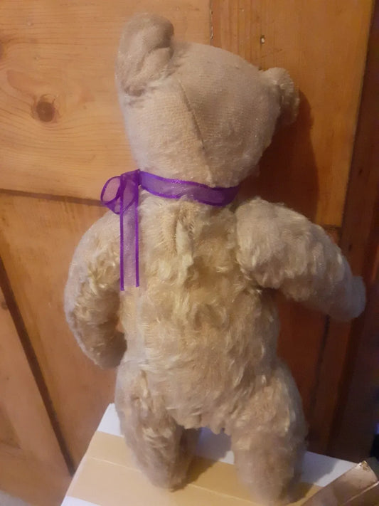 Ours Steiff Antique Début 1900