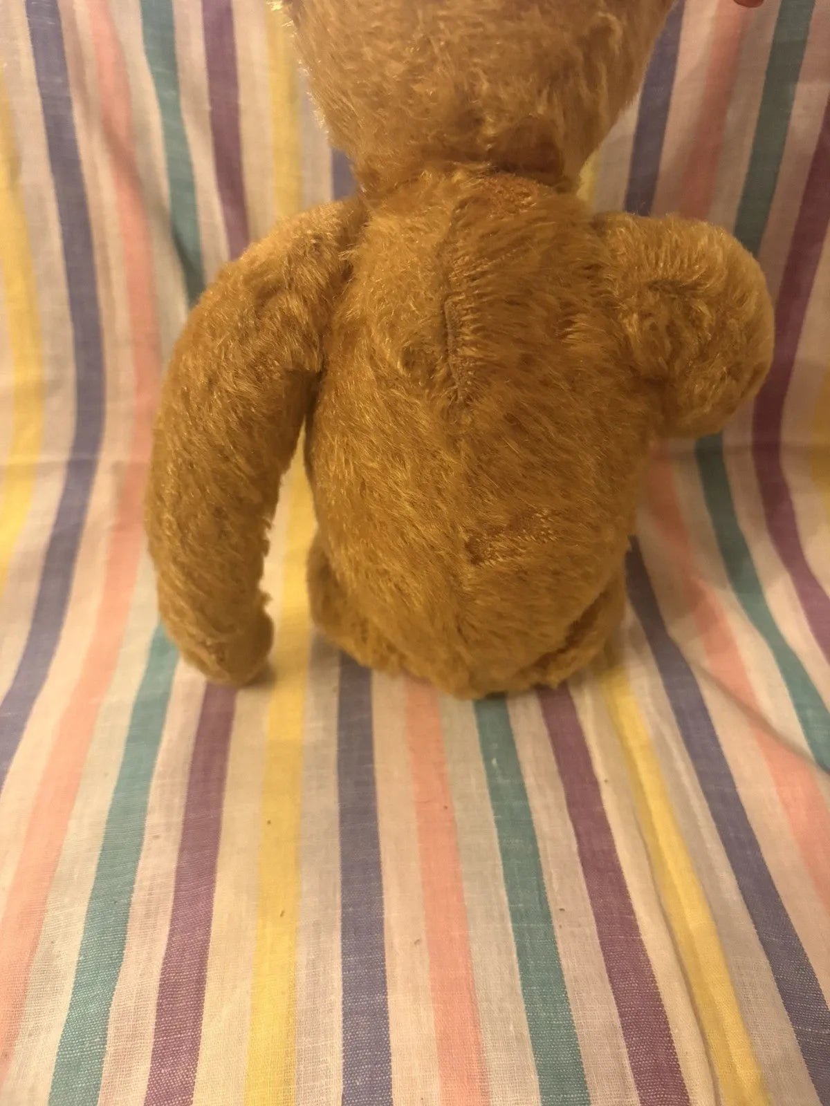 Ours Steiff Mohair Blond 30 cm Années 1950-60