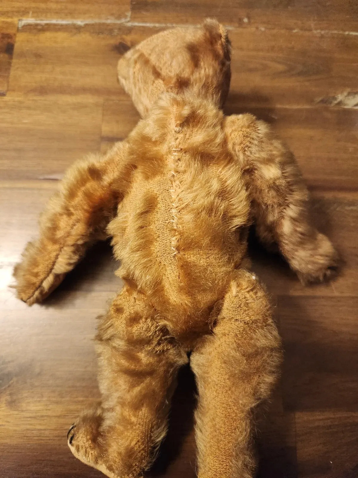 Ours en Peluche Steiff Antique Début 1900s (10")
