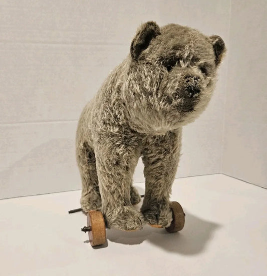 Ours Steiff sur Roues Jouet à Tirer Années 1920